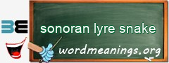 WordMeaning blackboard for sonoran lyre snake